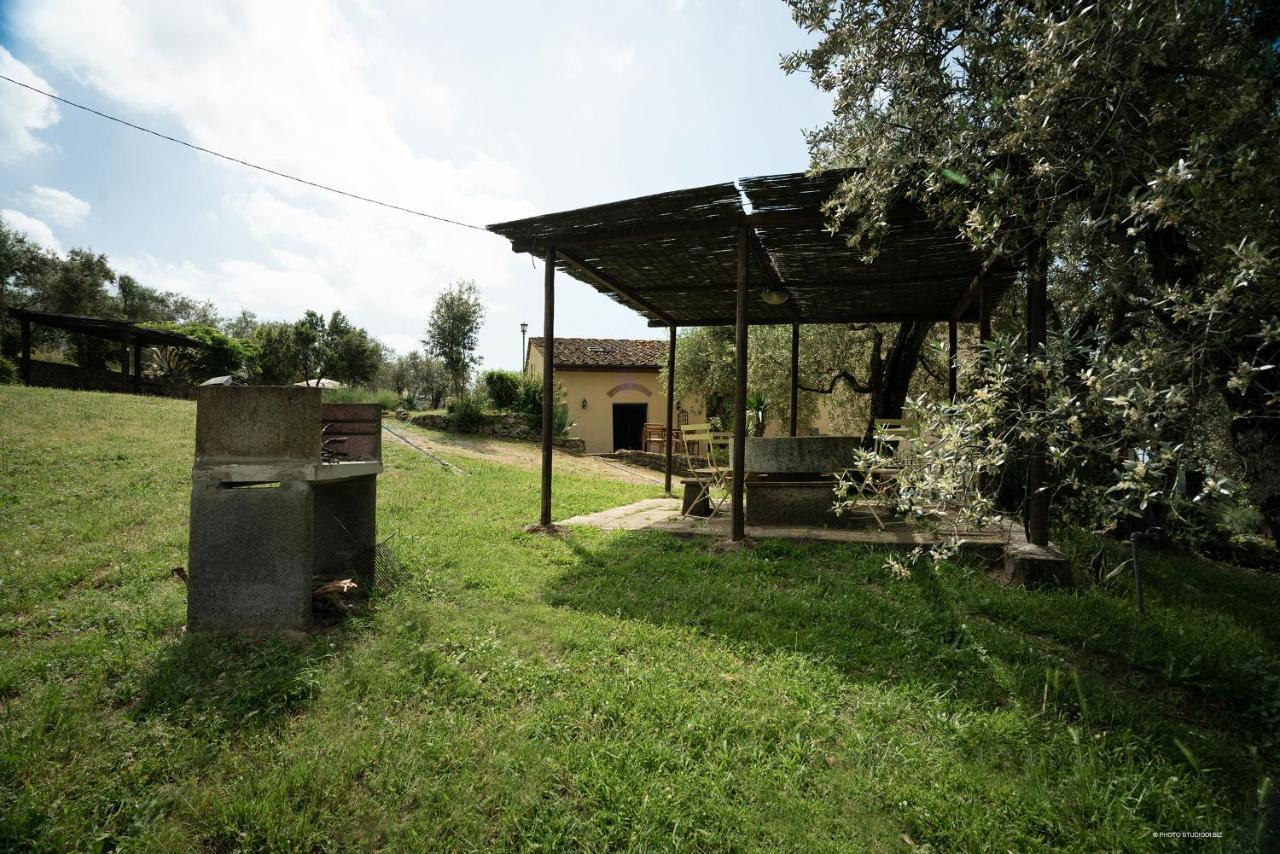 Agriturismo La Gioconda Vinci Zewnętrze zdjęcie