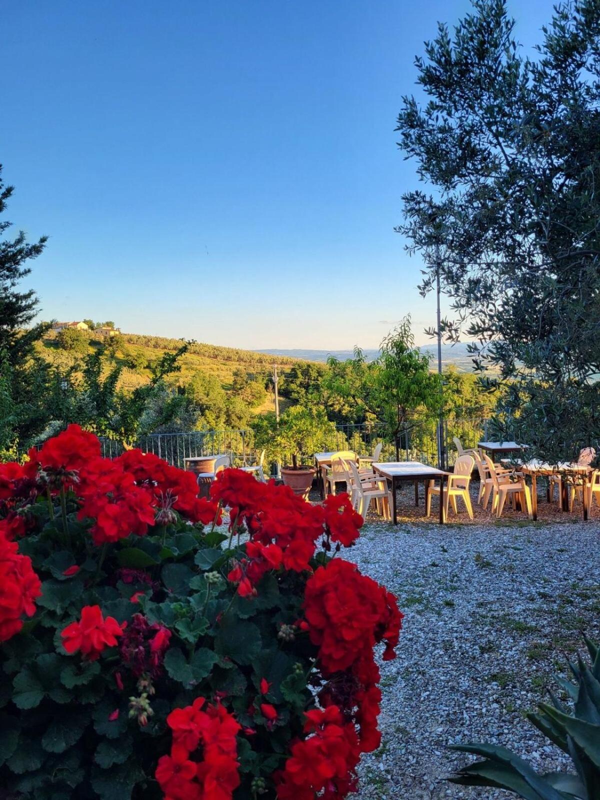 Agriturismo La Gioconda Vinci Zewnętrze zdjęcie