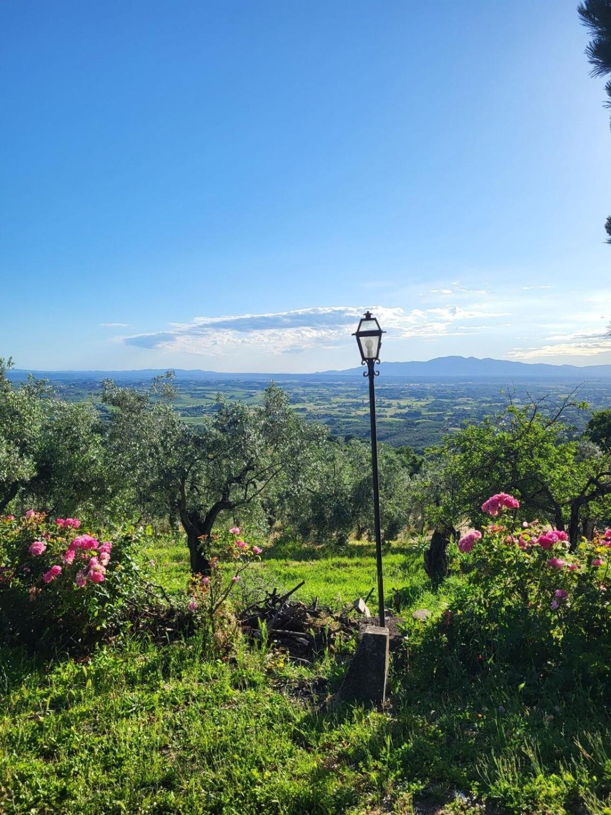 Agriturismo La Gioconda Vinci Zewnętrze zdjęcie